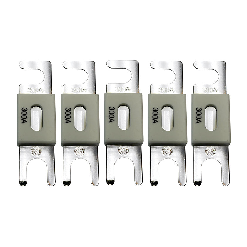 Fusible ANL Victron de 300 A/80 V para productos de 48 V (paquete de 5) [CIP143300020]