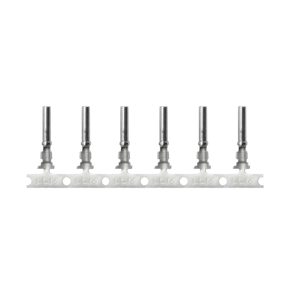 Conector alemán Pacer DT para cable de 14 AWG - Contacto de calibre 16 (paquete de 100) [T14DT-S-100]