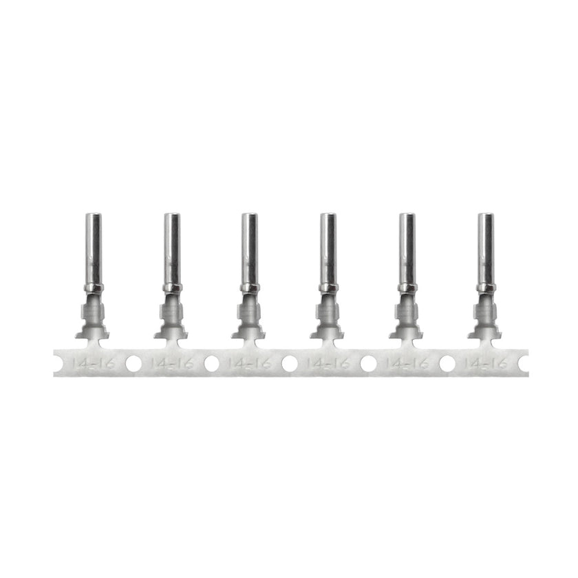 Conector alemán Pacer DT para cable de 14 AWG - Contacto de calibre 16 (paquete de 100) [T14DT-S-100]
