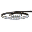 Lumishore ECLIPSE SL100 Blue/White Strip Light - 2.5M [010-04484-00]