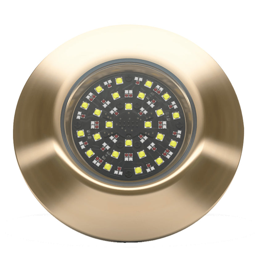 Lumishore EOS THX804 Thru-Hull Light  Driver [010-04520-00]