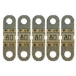 Victron MIDI-Fuse 80A/58V M6 for 48V *Pack of 5 [CIP134080020]