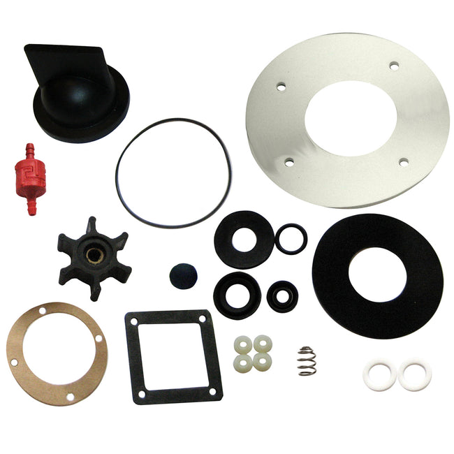 Kit de reparación de cabezales de corona de CD Raritan [CSRK]