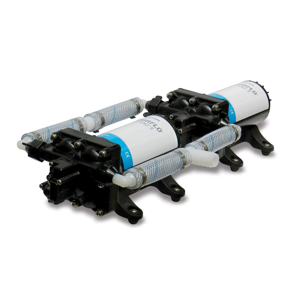 Sistema de bomba dual de alto caudal Shurflo de Pentair - 24 VCC, 10,0 GPM [4558-163-E75]