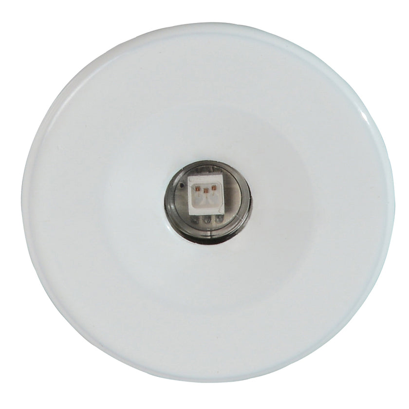 Lumitec Echo Courtesy Light - White Housing - White Light [112223]