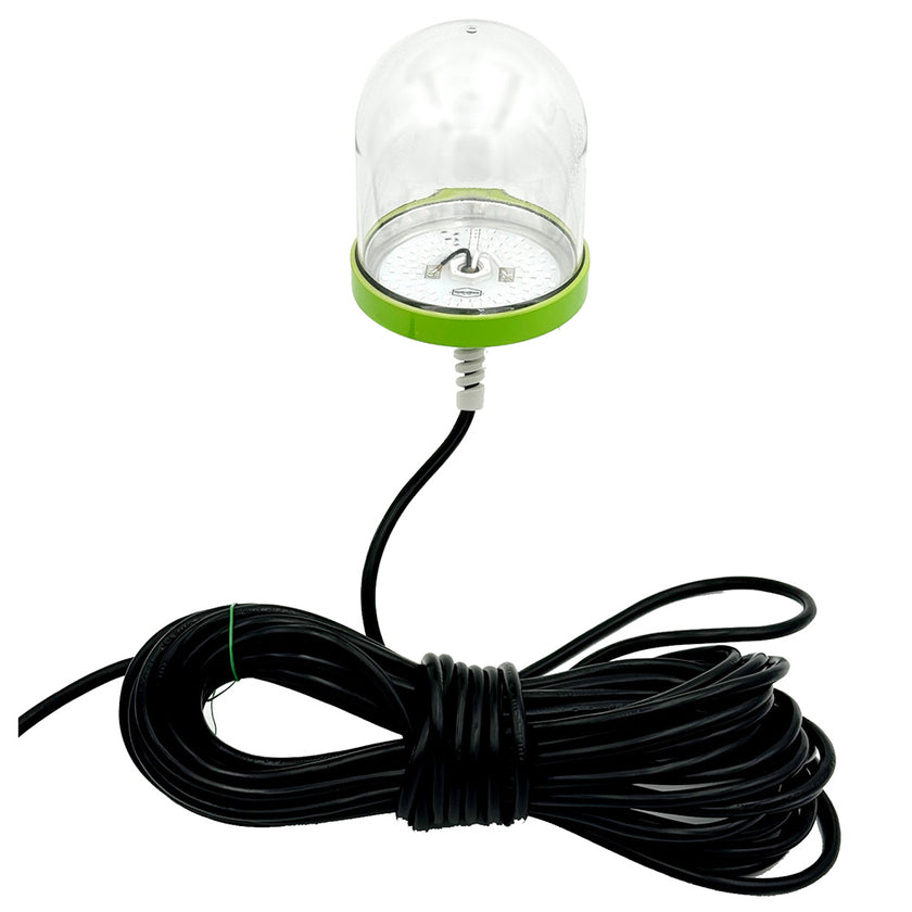 Hydro Glow SF100B 100 W/120 V CA - Luz subacuática para muelle - Azul, anclada al fondo [SF100B]