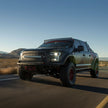 RIGID Industries RDS-Series PRO 30