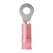 Terminal de anillo de nailon Ancor 22-18 AWG - n.° 6 - Paquete de 25 [210201]