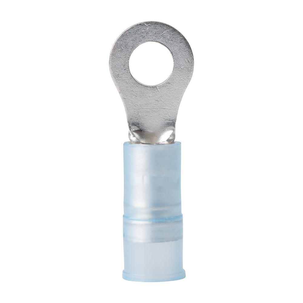 Terminal de anillo de nailon Ancor de 16-14 AWG - n.° 8 - Paquete de 25 [210212]
