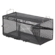 Trampa rectangular para pez pinfish negro Frabill - 45,7 x 30,5 x 20,3 cm [1264]