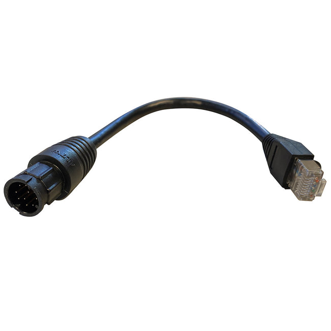 Cable adaptador Raynet Raynet - 100 mm - RayNet macho a RJ45 [A80513]