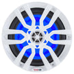 Altavoces marinos DS18 HYDRO de 6,5