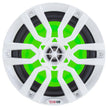 Altavoces marinos DS18 HYDRO de 6,5