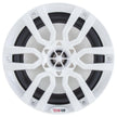 Altavoces marinos DS18 HYDRO de 6,5