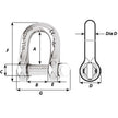 Wichard Captive Pin D Shackle - Diameter 4mm - 5/32