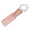 Terminal de anillo termorretráctil Pacer de 22-18 AWG - Tamaño de perno n.° 10 - Paquete de 3 [TE18-10R-3]