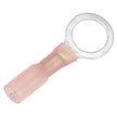 Terminal de anillo termorretráctil Pacer de 22-18 AWG - Tamaño de perno de 3/8