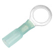 Terminal de anillo termorretráctil Pacer de 16-14 AWG - Tamaño de perno de 3/8