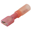 Conector hembra termorretráctil Pacer de 22-18 AWG - Paquete de 100 [TDE18-250FI-100]